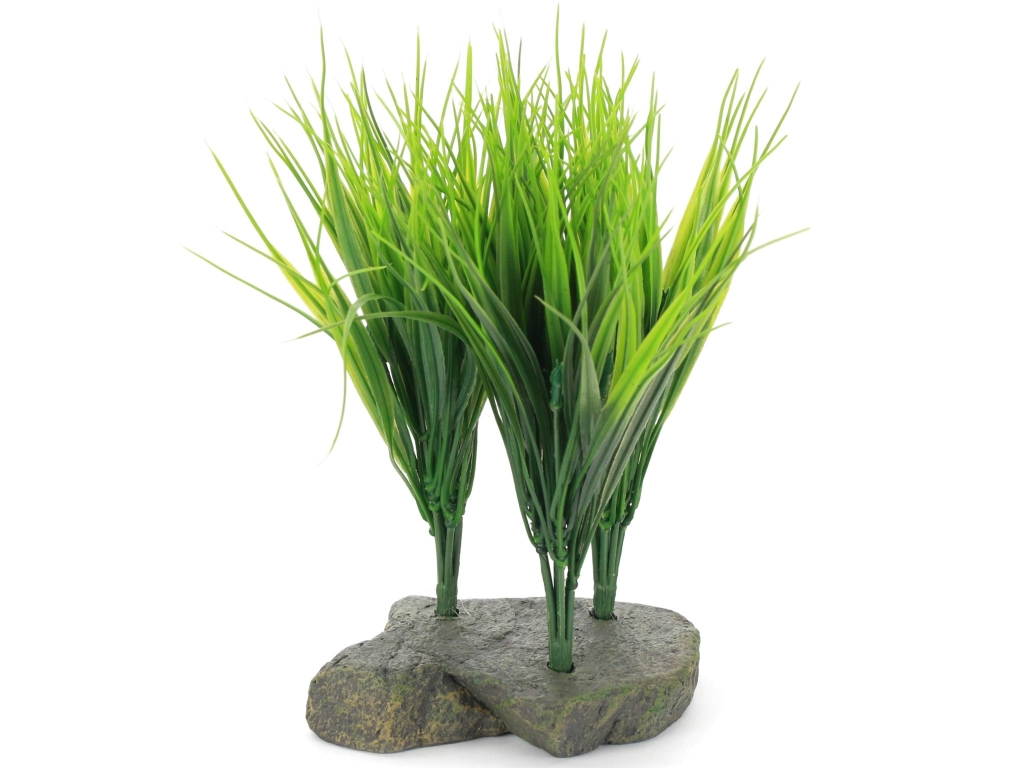 Savannah grass - 24cm